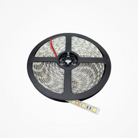 CINTA DE LED 24V - 5 METROS BLANCO FRIO 6000K IP54
