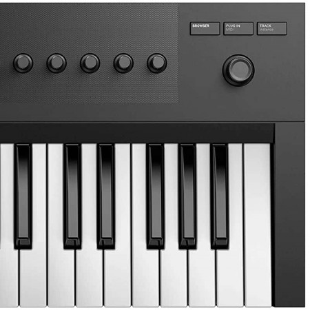 Controlador NATIVE INSTRUMENTS KONTROL A25
