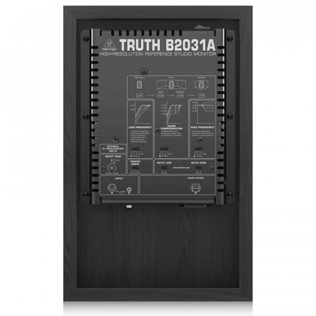 BEHRINGER B2031A (pareja)