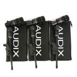 AUDIX D2 TRIO