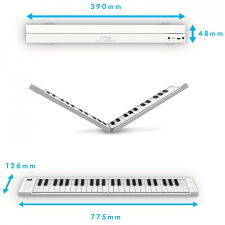 BlackStar Carry On Piano 49