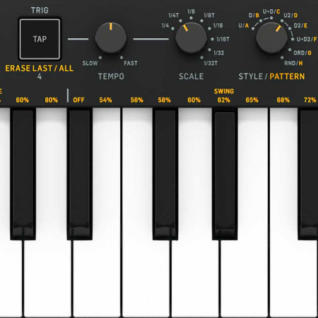 BEHRINGER SWING