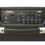 MARKTINEZ MGB110 USB MKII Amplificador bateria