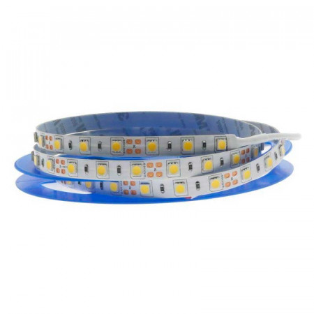 CINTA LED SMD 5050 BLANCO FRIO 5 METROS IP65
