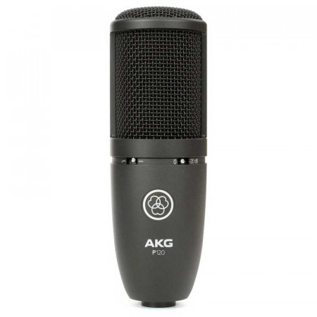 AKG P120