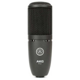 AKG P120