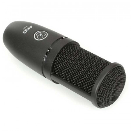 AKG P120
