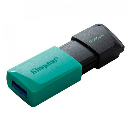 Pendrive 256GB KINGSTON EXODIA DTXM/256GB