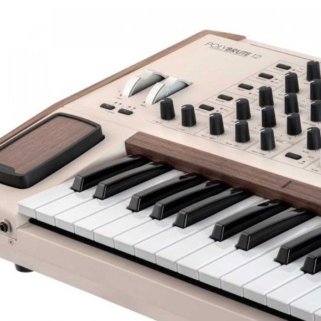 Arturia PolyBrute 12