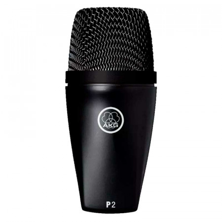 AKG PERCEPTION P2