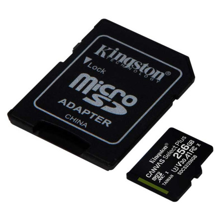 KINGSTON SDCS2/256GB