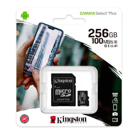 KINGSTON SDCS2/256GB