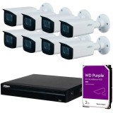 8x PC-HDW1431T-ZSS4 + NVR1108HS-8P-S3/H + WD20PURX