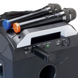 2 MicrófonoS Inalámbrico LENCO MCW-020BK