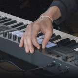 NOVATION LAUNCHKEY 88 MK4 Negro