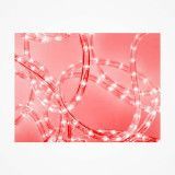 Manguera luminosa de LED roja 45 metros